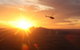 Uluru & Kata Tjuta Grand View Helicopter Flight - thumb 9