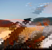 Uluru Ayers Rock Sunset with Outback Barbecue Dinner and Star Tour - Kalgoorlie Accommodation