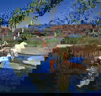 Palm Valley 4WD Tour - Kalgoorlie Accommodation