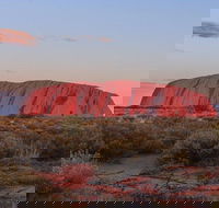 3-Day Uluru Camping Tour from Alice Springs Including Kata Tjuta and Kings Canyon - Kalgoorlie Accommodation