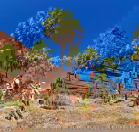 Palm Valley 4WD Tour from Alice Springs - Kalgoorlie Accommodation