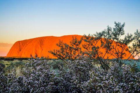 Uluru Sunrise And Kata Tjuta Half Day Trip - Kalgoorlie Accommodation 2