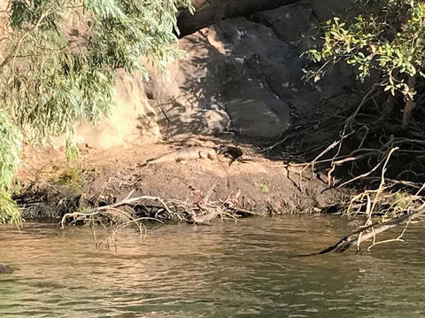 Nitmiluk (Katherine) Gorge 3.5-Hour Sunset Dinner Boat Tour - Kalgoorlie Accommodation 4