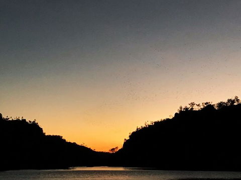 Nitmiluk (Katherine) Gorge 3.5-Hour Sunset Dinner Boat Tour - Kalgoorlie Accommodation 9