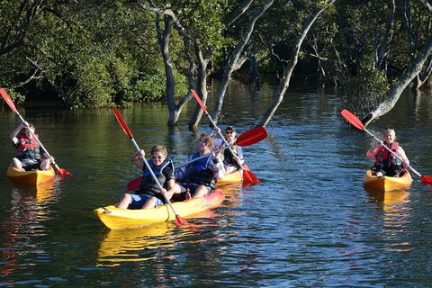 Kayak And SUP Guided Tours - Kalgoorlie Accommodation 0