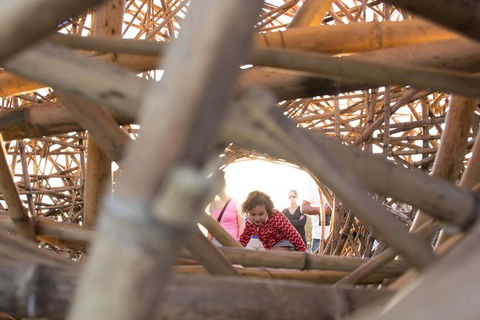 Family Day In Sydney With A Local: Private & Personalized - Kalgoorlie Accommodation 7