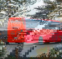 SkyBus Byron Bay Express - Kalgoorlie Accommodation