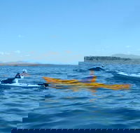 Whale Watching by Sea Kayak in Batemans Bay - Kalgoorlie Accommodation