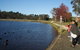 All-Day Blue Mountains Private Tour With Professional Guide For Up To 4 People - thumb 24