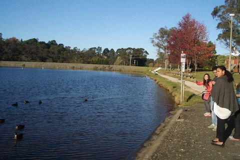 All-Day Blue Mountains Private Tour With Professional Guide For Up To 4 People - Kalgoorlie Accommodation 24