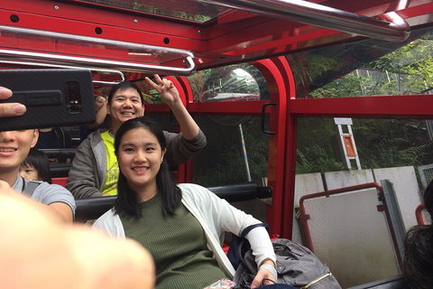 All-Day Blue Mountains Private Tour With Professional Guide For Up To 4 People - Kalgoorlie Accommodation 15