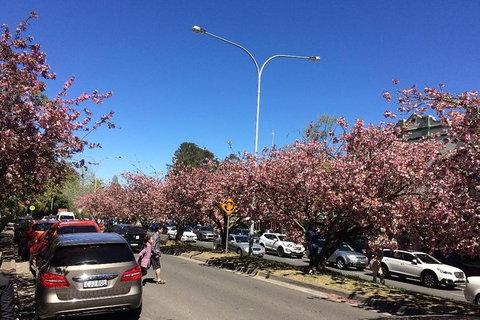 All-Day Blue Mountains Private Tour With Professional Guide For Up To 4 People - Kalgoorlie Accommodation 16