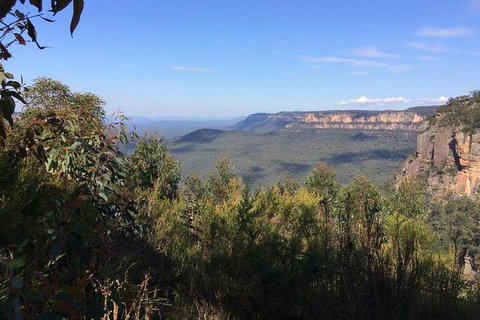 All-Day Blue Mountains Private Tour With Professional Guide For Up To 4 People - Kalgoorlie Accommodation 4
