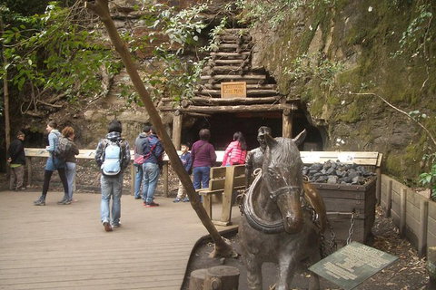 All-Day Blue Mountains Private Tour With Professional Guide For Up To 4 People - Kalgoorlie Accommodation 9
