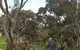 All-Day Blue Mountains Private Tour With Professional Guide For Up To 4 People - thumb 22