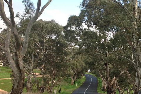 All-Day Blue Mountains Private Tour With Professional Guide For Up To 4 People - Kalgoorlie Accommodation 22
