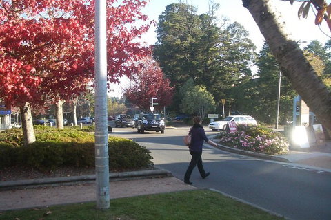 All-Day Blue Mountains Private Tour With Professional Guide For Up To 4 People - Kalgoorlie Accommodation 12