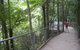 All-Day Blue Mountains Private Tour With Professional Guide For Up To 4 People - thumb 20