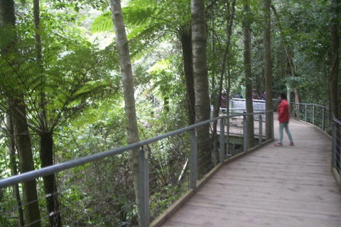 All-Day Blue Mountains Private Tour With Professional Guide For Up To 4 People - Kalgoorlie Accommodation 20