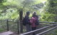 All-Day Blue Mountains Private Tour With Professional Guide For Up To 4 People - thumb 19
