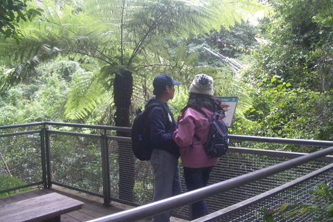 All-Day Blue Mountains Private Tour With Professional Guide For Up To 4 People - Kalgoorlie Accommodation 19