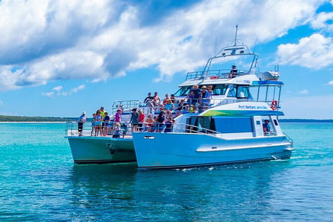 Jervis Bay Whale Watching Tour - Kalgoorlie Accommodation 2