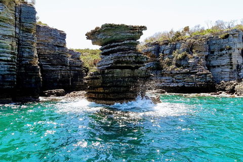 Jervis Bay Passage Tour - Kalgoorlie Accommodation 15