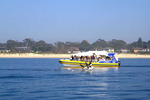 Jervis Bay Passage Tour - Kalgoorlie Accommodation 16