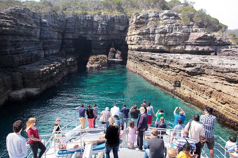 Jervis Bay Passage Tour - Kalgoorlie Accommodation 3
