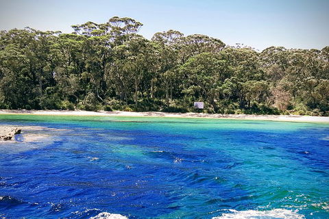 Jervis Bay Passage Tour - Kalgoorlie Accommodation 6
