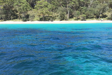 Jervis Bay Passage Tour - Kalgoorlie Accommodation 5