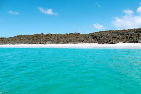 Jervis Bay Passage Tour - Kalgoorlie Accommodation 10