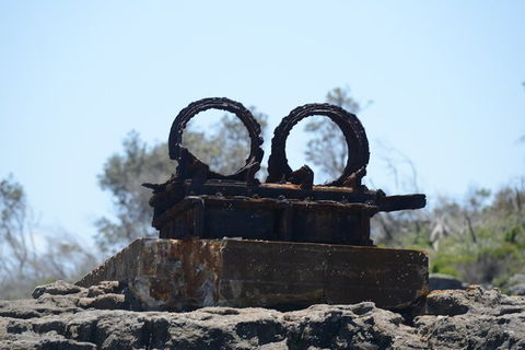 Jervis Bay Passage Tour - Kalgoorlie Accommodation 4
