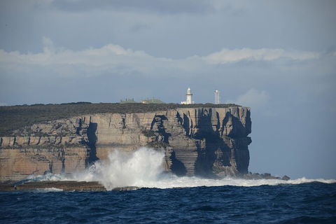 Jervis Bay Passage Tour - Kalgoorlie Accommodation 8