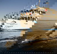 Jervis Bay Dolphin Watch Cruise - Kalgoorlie Accommodation