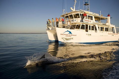 Jervis Bay Dolphin Watch Cruise - Kalgoorlie Accommodation 0