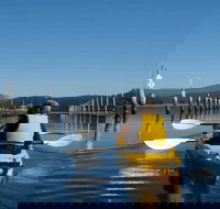 Batemans Bay Oyster Tasting Kayak Tour - Kalgoorlie Accommodation
