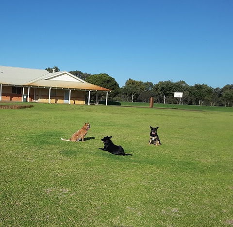 Meet The Animals - Kalgoorlie Accommodation 3