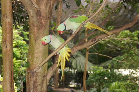 Apple Tree Creek - Kalgoorlie Accommodation 2