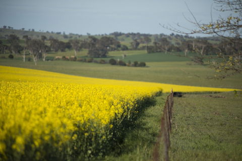 Boorowa - Kalgoorlie Accommodation 2