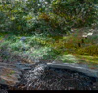 Browns Forest Loop Trail - Kalgoorlie Accommodation