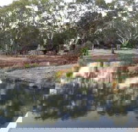 Green Corridor Walking Track - Kalgoorlie Accommodation
