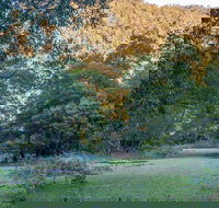 Griffins walking track - Kalgoorlie Accommodation