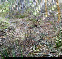 Historic Water Race Walking Track - Kalgoorlie Accommodation