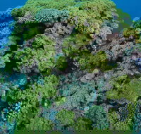 Keeper Reef Dive Site - Kalgoorlie Accommodation