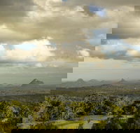 Mary Cairncross Scenic Reserve Rainforest Walk - Kalgoorlie Accommodation