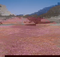 Meekatharra - Kalgoorlie Accommodation