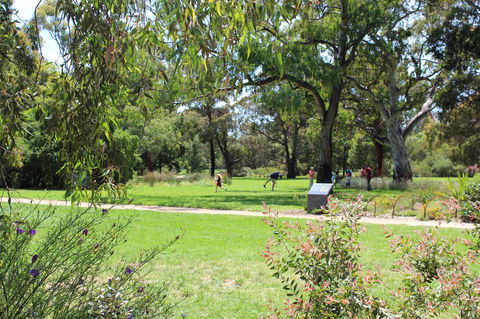 Parkville Heritage Walks - Kalgoorlie Accommodation 2