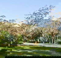 Red Cedar Flat Picnic Area - Kalgoorlie Accommodation