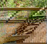 Somersby Falls walking track - Kalgoorlie Accommodation